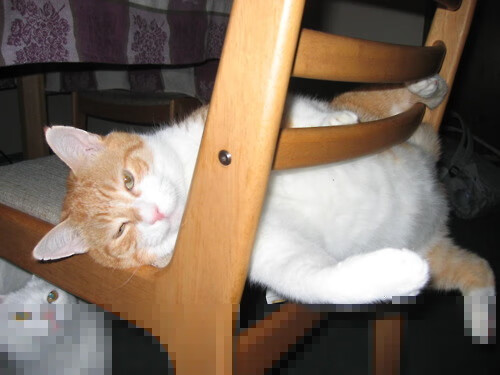 费城神迹!0.9秒绝境重生,76人史诗逆转掀翻尼克斯