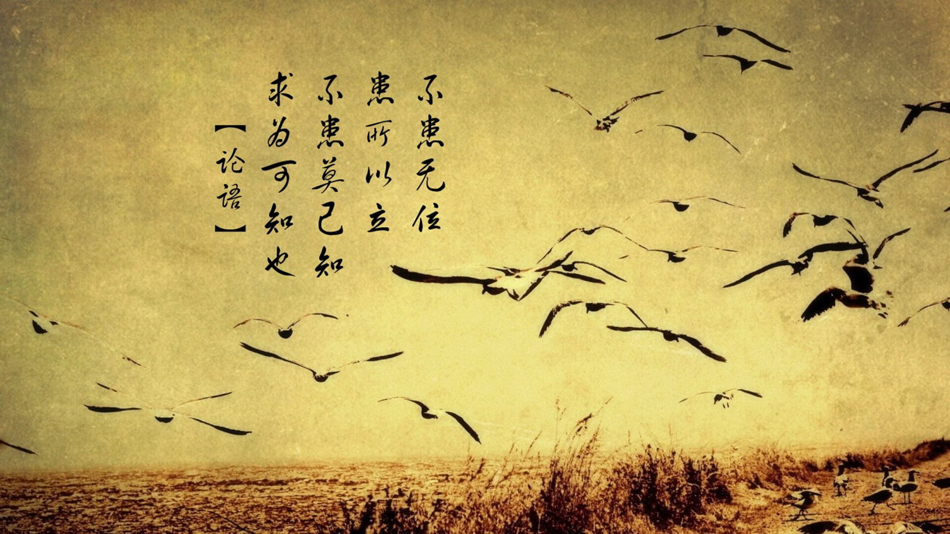 数字王座与钢铁森林,恩比德的70分狂潮与公牛团队绞杀勇士的启示