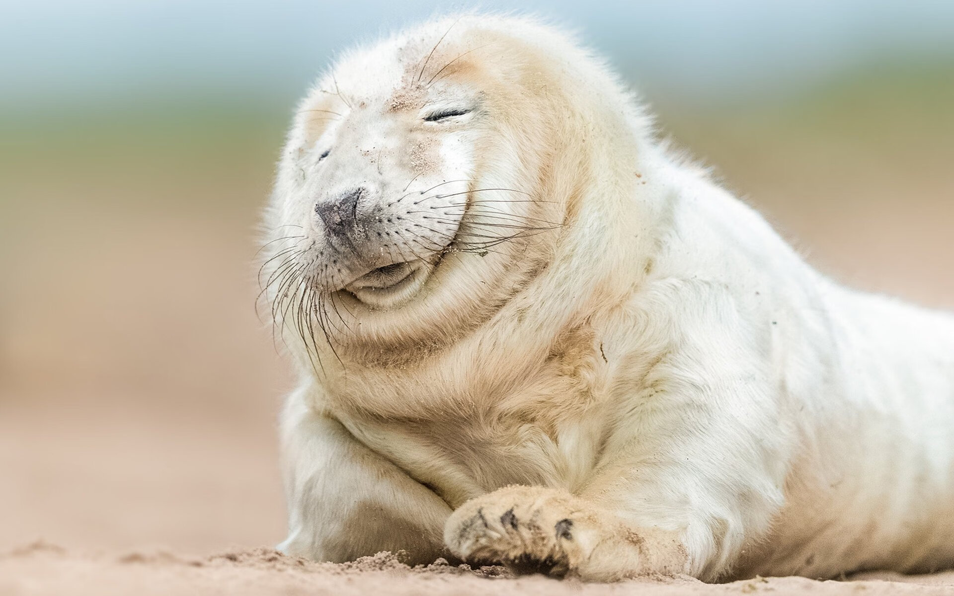 统治的艺术,恩比德接管世界排名之战,如同CBA开拓者压制广厦的战术启示