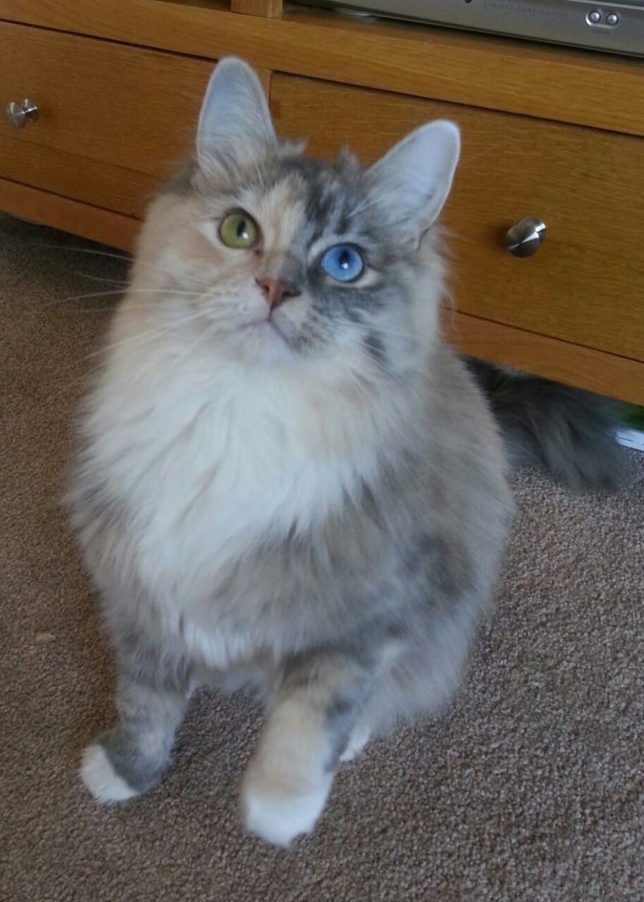 开云体育中国-剑锋压虹，乔治如何将太阳升起的时刻，变成北京队落日的黄昏