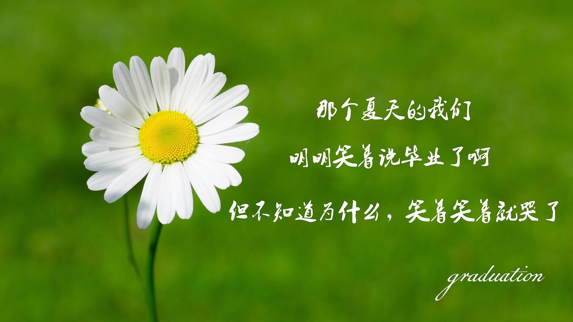 冰与火之歌，骑士铸就铁幕，东契奇用东欧魔法点燃胜利