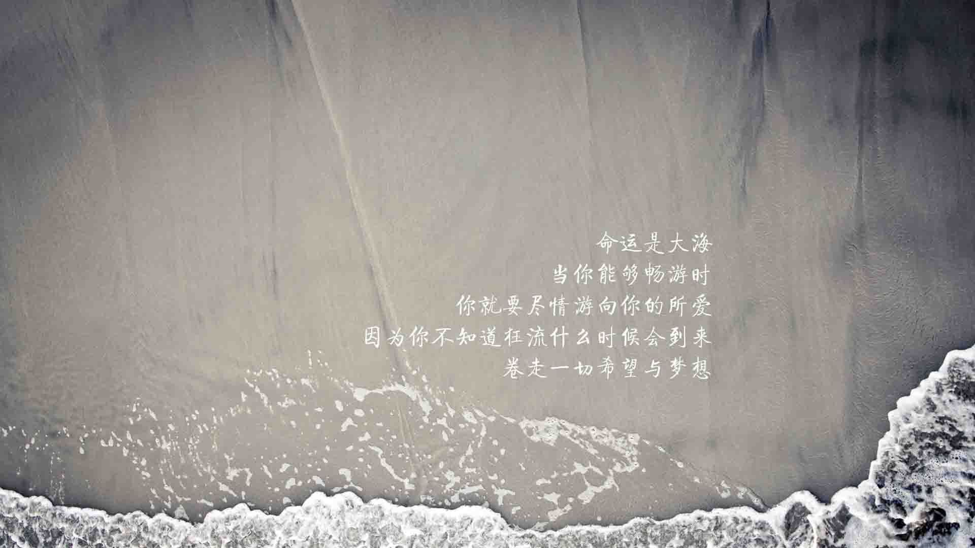 控球风暴下的新王，归化天才穆西亚拉引领伊朗，以压迫性控球碾碎塞尔维亚